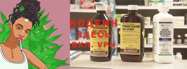 индика Пересвет