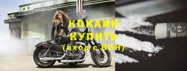 индика Пересвет