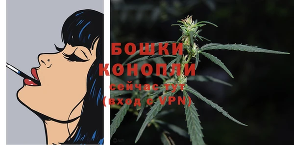 индика Пересвет