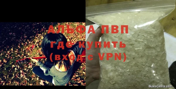 индика Пересвет