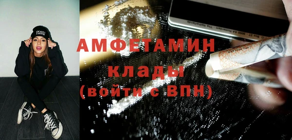 индика Пересвет
