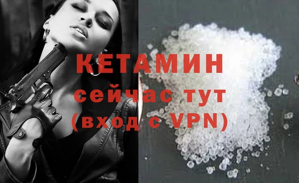 индика Пересвет