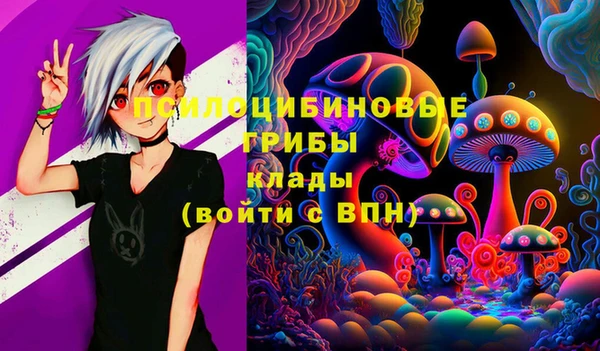 spice Переславль-Залесский