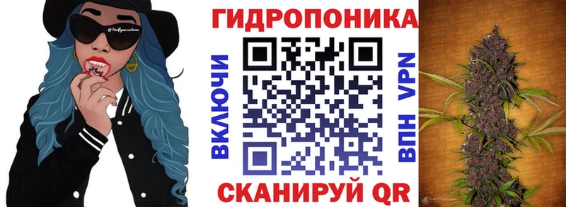 Шишки марихуана сатива  магазин  наркотиков  Курильск 